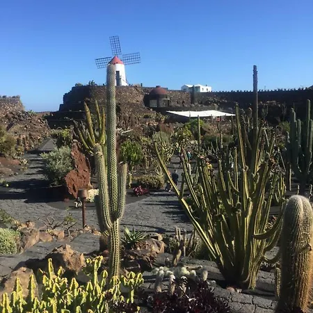 公寓 Casa De Los Afortunados 阿雷西费